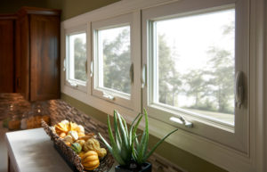 View from the inside of a house through the window, featuring beautiful plants inside and a view of the trees outside.